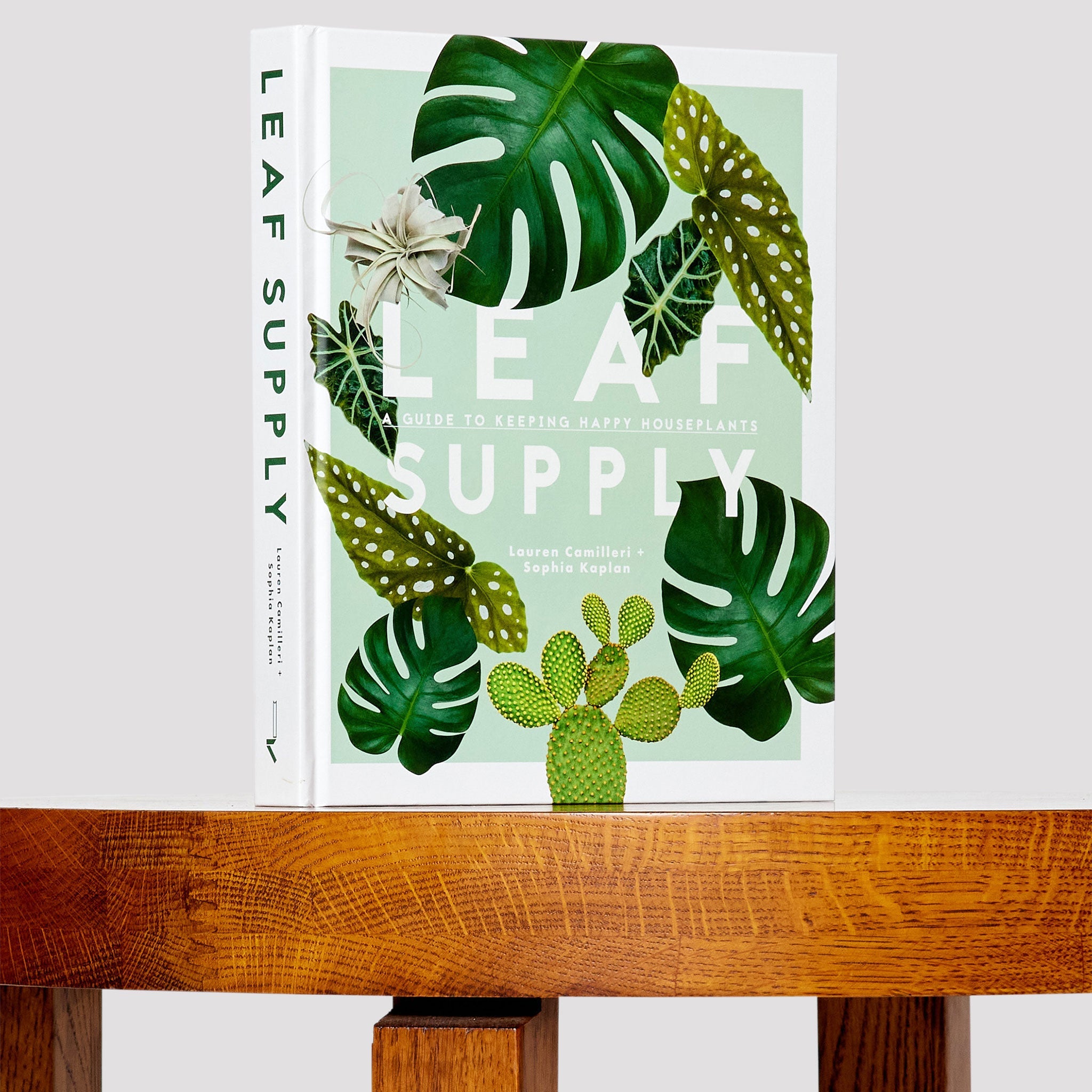 Leaf Supply Book Indoor Plant at The Good Plant Co