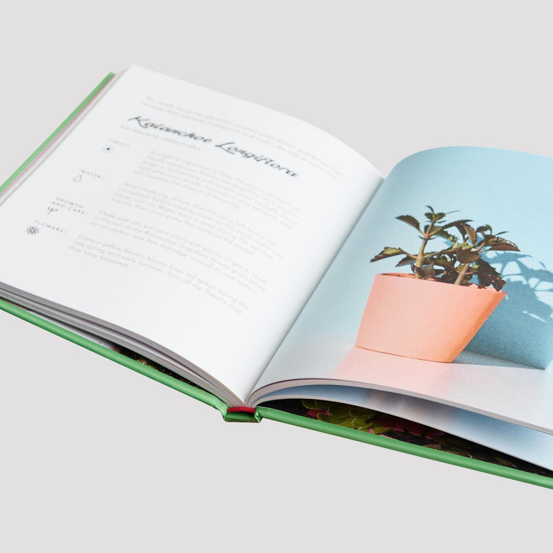 Open pages from the Little Book of Cacti