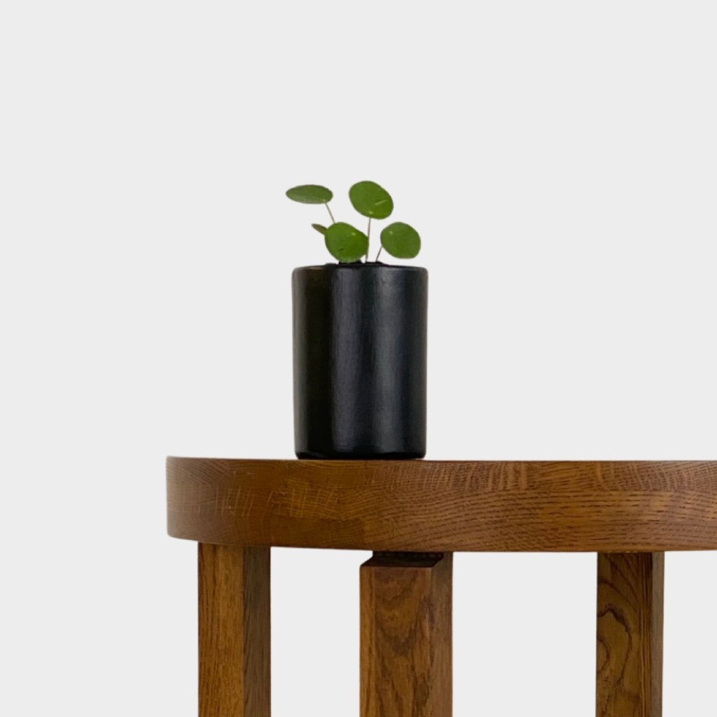 Micro Plant Pot black with Chinese Money Plant on table Indoor Plants at The Good Plant Co