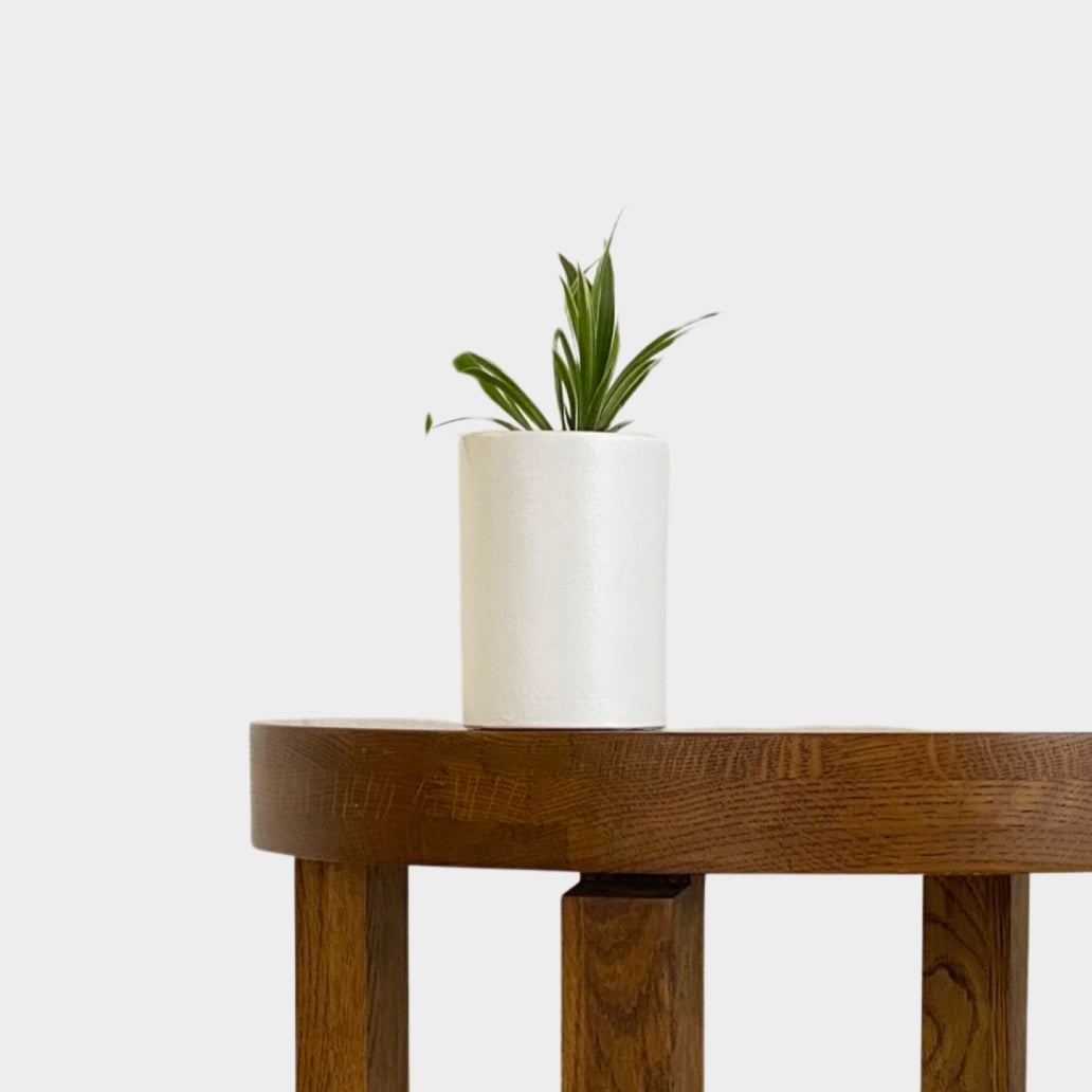 Micro Plant Pot White with Spider Plant on Timber Table at The Good Plant Co