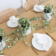Pothos Snow Queen indoor plant in jardin white pot