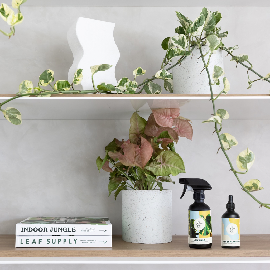 Bookshelf showcasing Indoor Plants and books and fertiliser for indoor plants