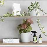 The Good Plant Co Indoor Plant Food and Leaf Shine spray on shelves with Indoor Plant books