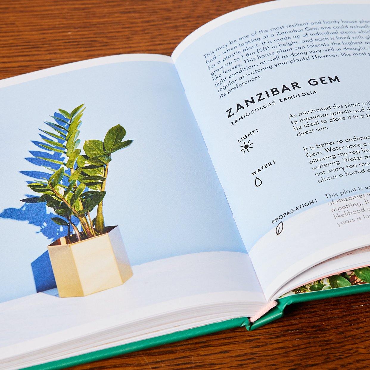 The Little Book of House Plants - Open Book at The Good Plant Co