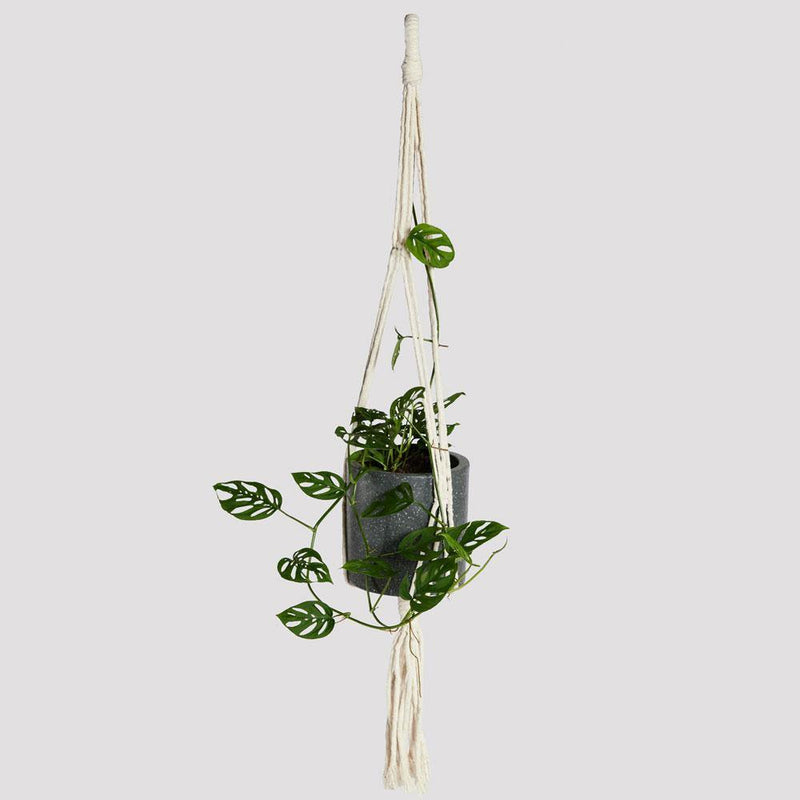 Wren Natural Rope Macrame Hanger